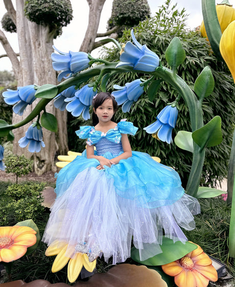 Disney Inspired Princess Dresses