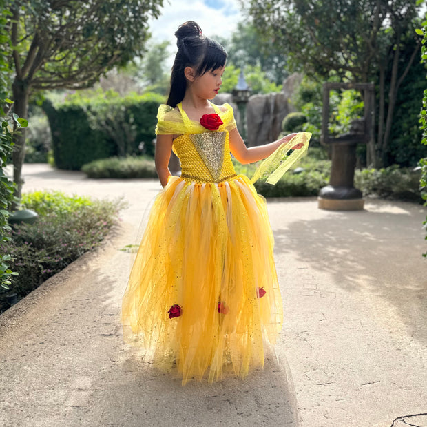 Beauty and the Beast Belle luxury princess party tutu dress