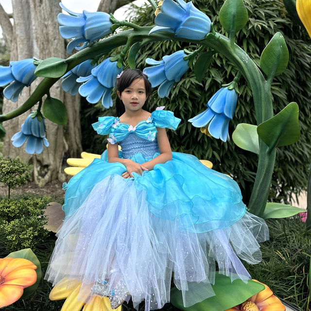Cinderella Grand Ball gown dress, 3D Butterflies blue dress, Fairytale cosplay outfits, Magic costume