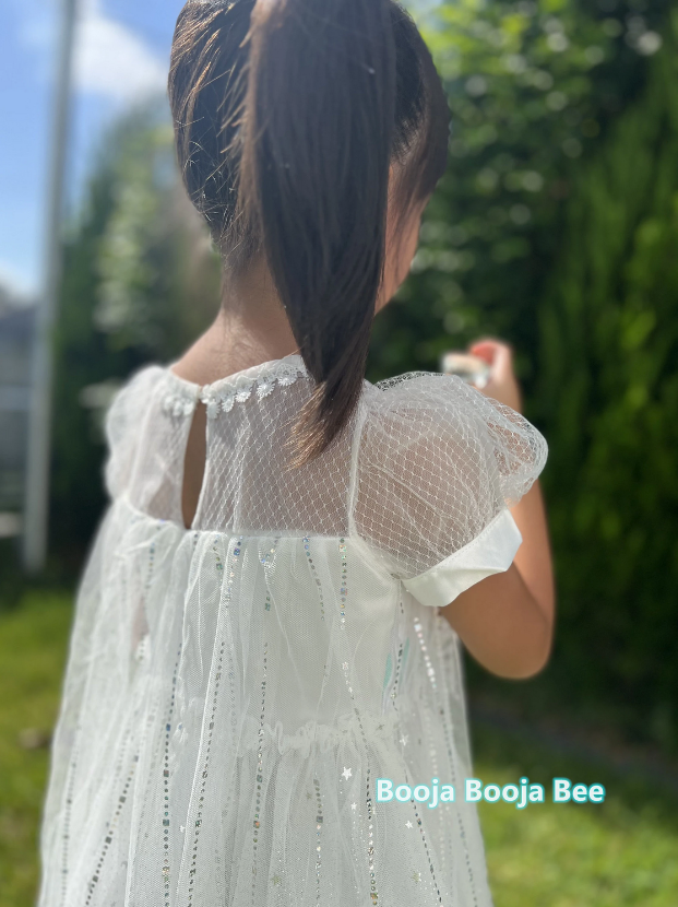 Frozen Princess Elsa ombre puff sleeves dress, Girls birthday queen party sequins tulle