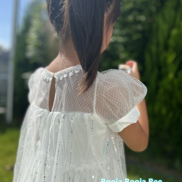 Frozen Princess Elsa ombre puff sleeves dress, Girls birthday queen party sequins tulle