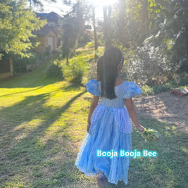 Cinderella Princess Floral Lace Dress, Girls birthday costume
