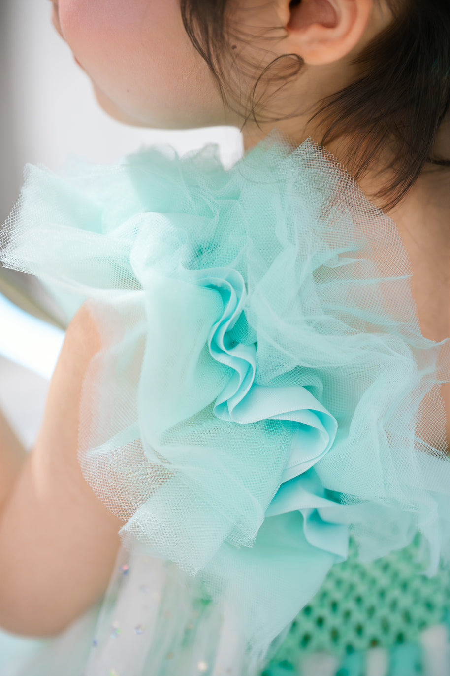 Frozen Elsa Green Mint tutu dress, Party Queen dress