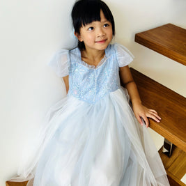Deluxe Elsa Frozen costume party dress – Glitter snowflake princess cosplay , Aged 3-10