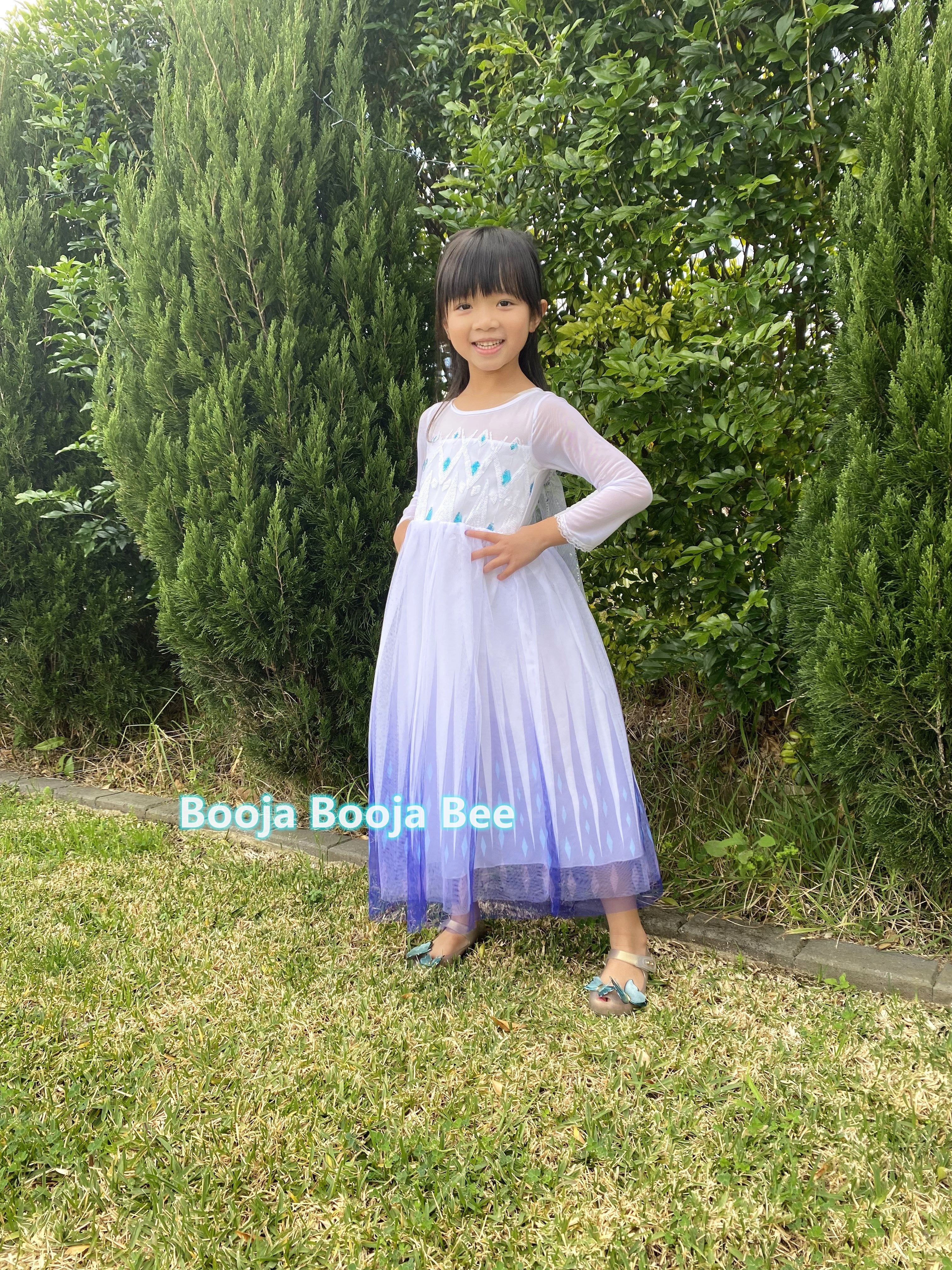 Disney themed party Elsa costumes for kids 3-8, Frozen 2 Elsa birthday princess dress