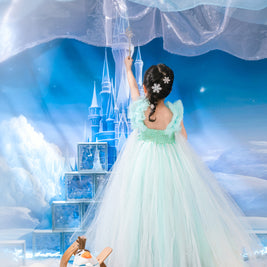 Frozen Elsa Green Mint tutu dress, Party Queen dress