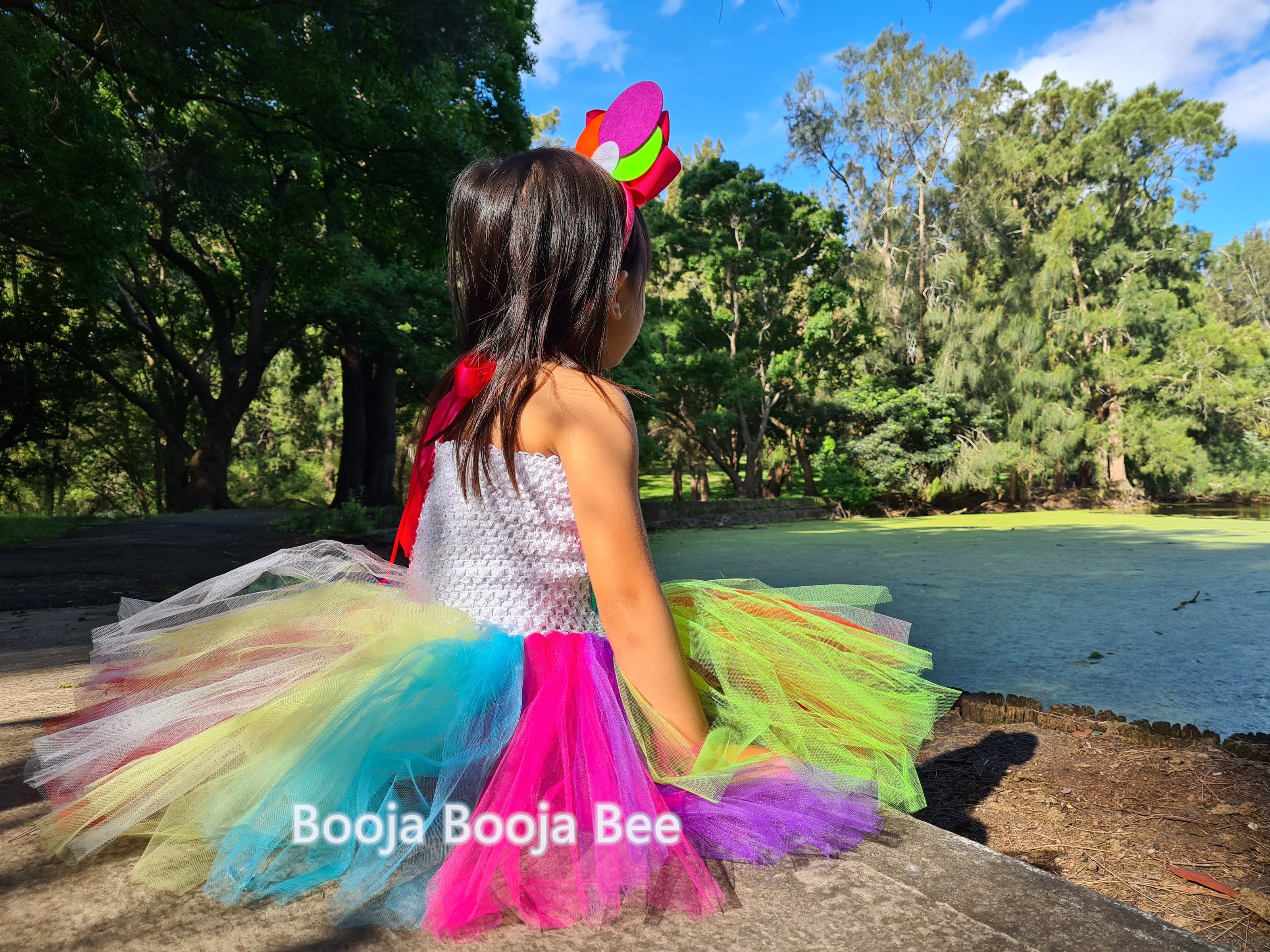 Lollipop Candy tutu rainbow dress, Candy themed birthday costume