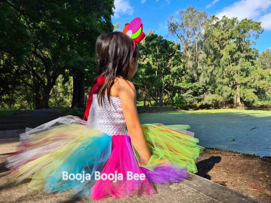Lollipop Candy tutu rainbow dress, Candy themed birthday costume