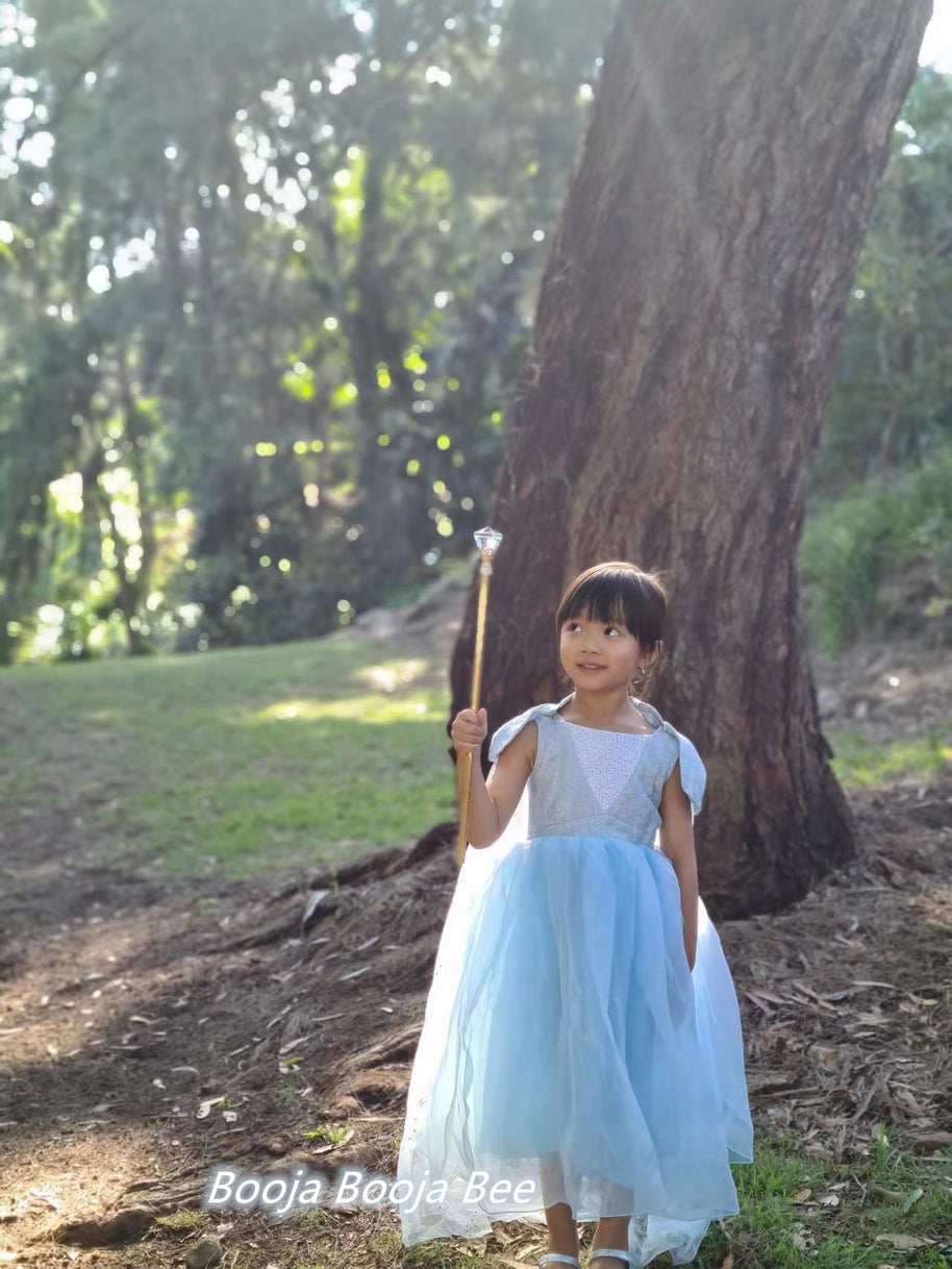 Frozen Elsa birthday costume, Disney princess party dress, girls aged 2-11