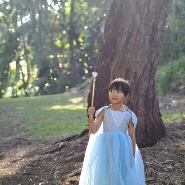 Frozen Elsa birthday costume, Disney princess party dress, girls aged 2-11