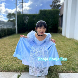 Cinderella puffy sleeves ball gown, Girls birthday gift party dress