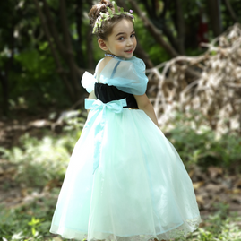 Anna coronation gown dress, Princess cosplay Aged 3-10