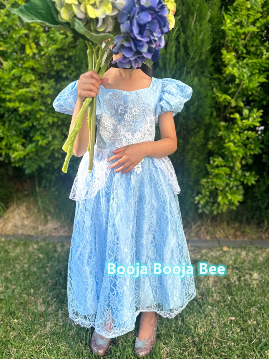 Cinderella Princess Floral Lace Dress, Girls birthday costume