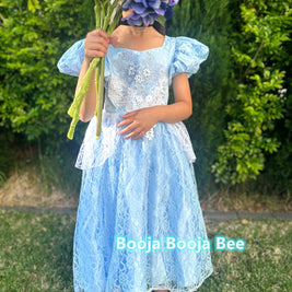 Cinderella Princess Floral Lace Dress, Girls birthday costume