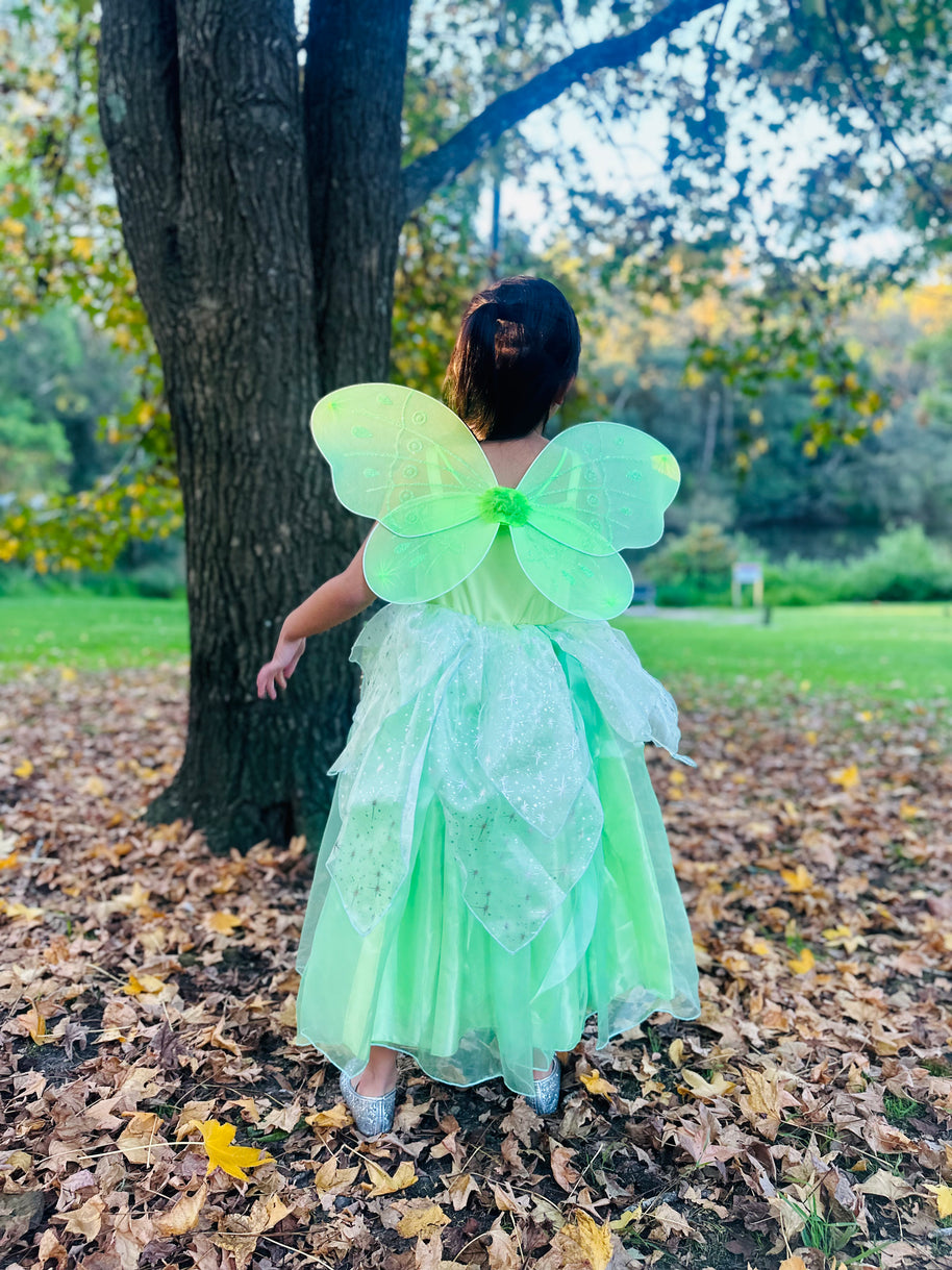 Tinker Bell fairy costume, Princess Tiana Party dress