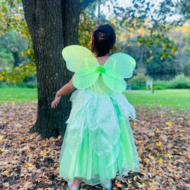 Tinker Bell fairy costume, Princess Tiana Party dress