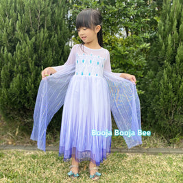 Disney themed party Elsa costumes for kids 3-8, Frozen 2 Elsa birthday princess dress