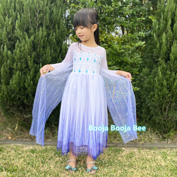 Disney themed party Elsa costumes for kids 3-8, Frozen 2 Elsa birthday princess dress