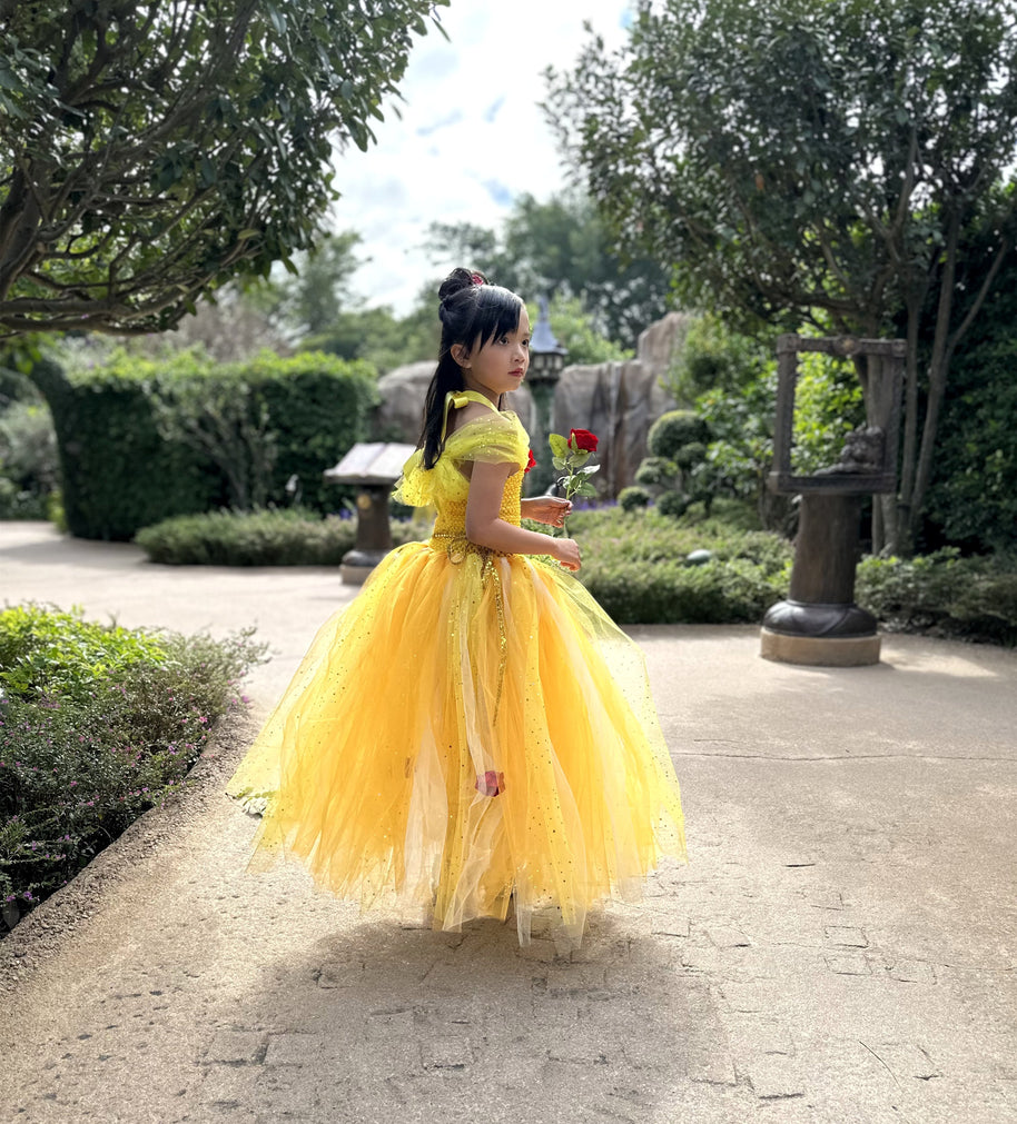 Beauty and the Beast Belle luxury princess party tutu dress