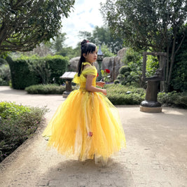 Beauty and the Beast Belle luxury princess party tutu dress