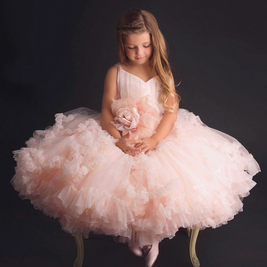 Ruffled fluffy V-neck blush pink girl gown dress, Princess birthday pageant dress