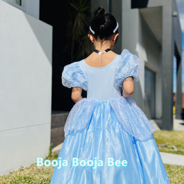 Cinderella puffy sleeves ball gown, Girls birthday gift party dress
