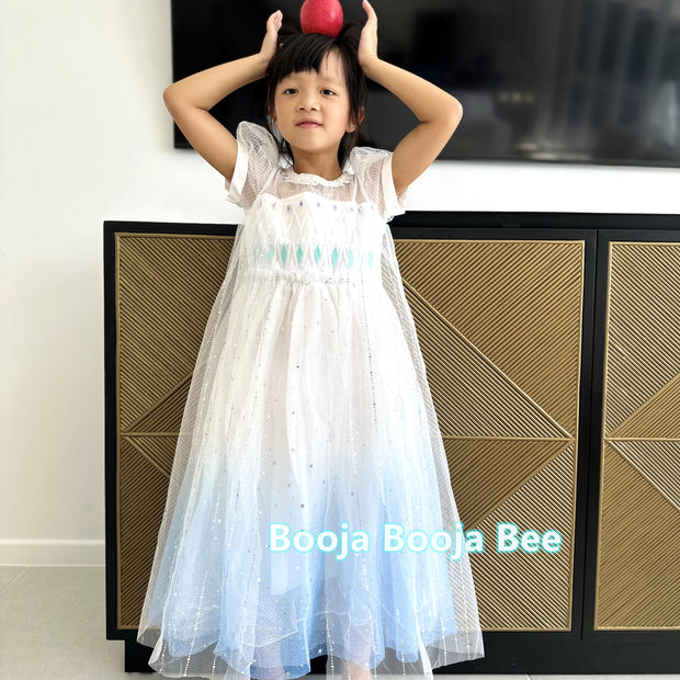 Frozen Princess Elsa ombre puff sleeves dress, Girls birthday queen party sequins tulle