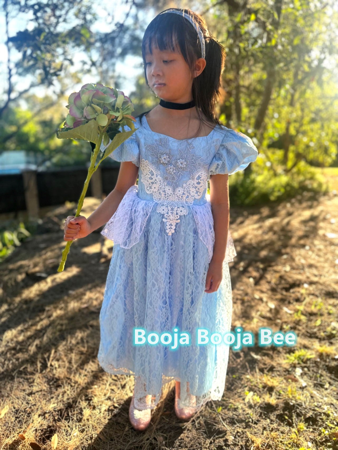 Cinderella Princess Floral Lace Dress, Girls birthday costume