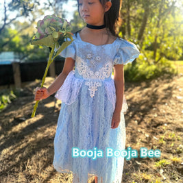 Cinderella Princess Floral Lace Dress, Girls birthday costume