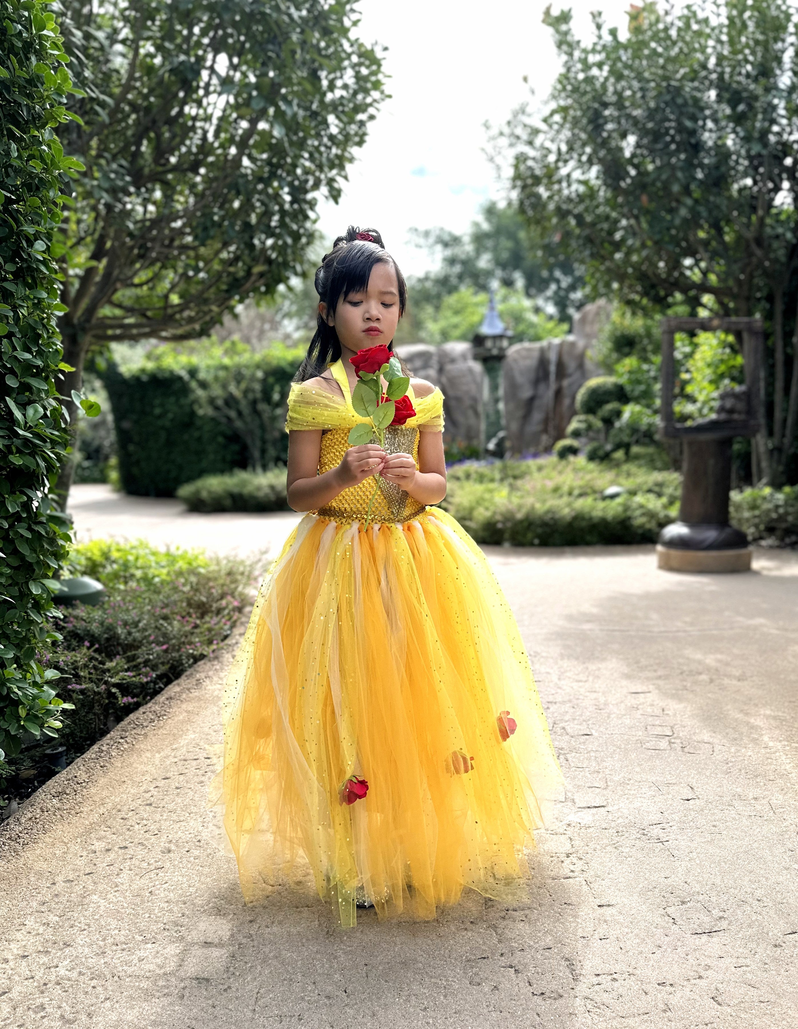 Beauty and the Beast Belle luxury princess party tutu dress