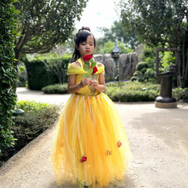 Beauty and the Beast Belle luxury princess party tutu dress
