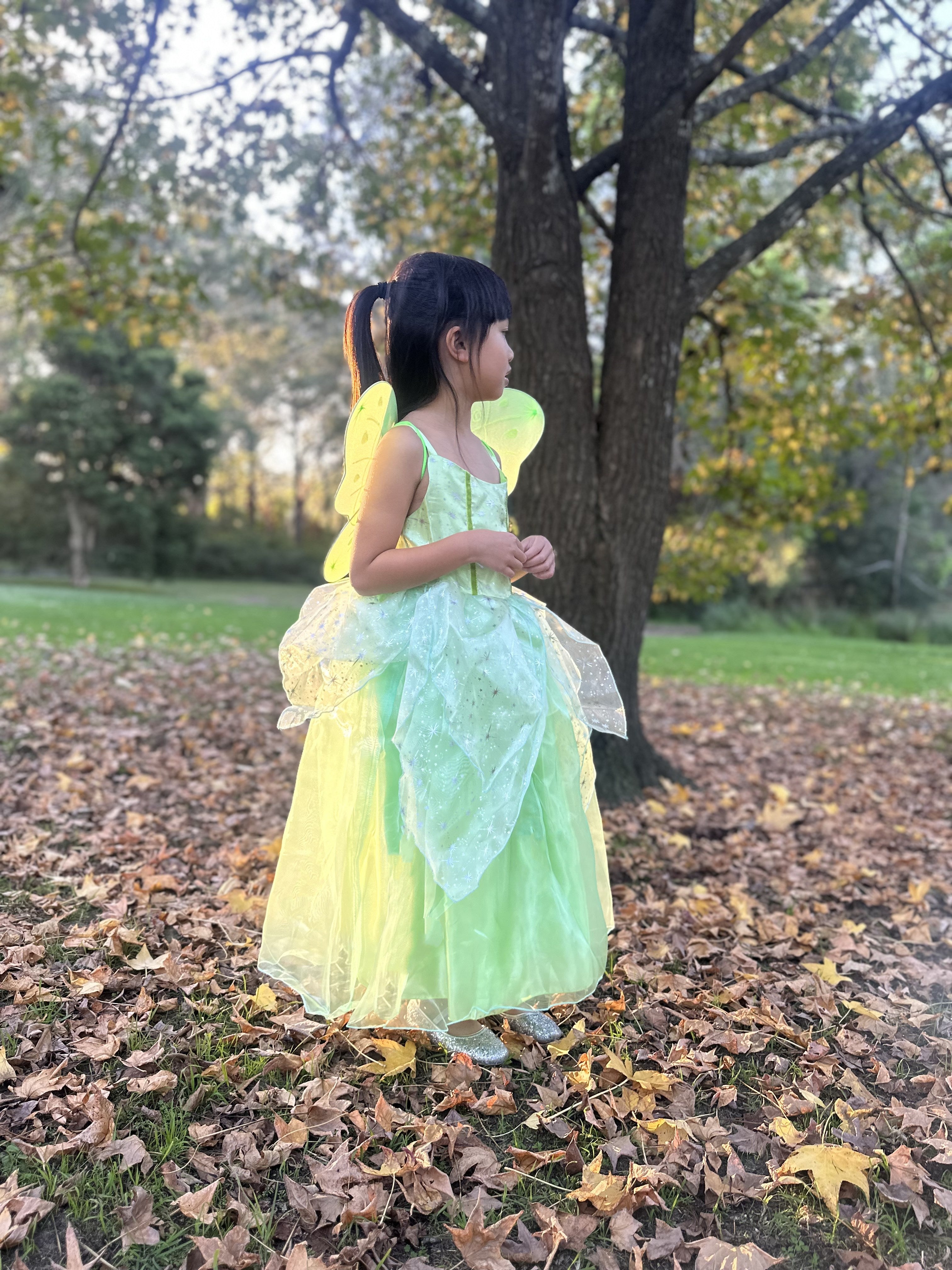 Tinker Bell fairy costume, Princess Tiana Party dress