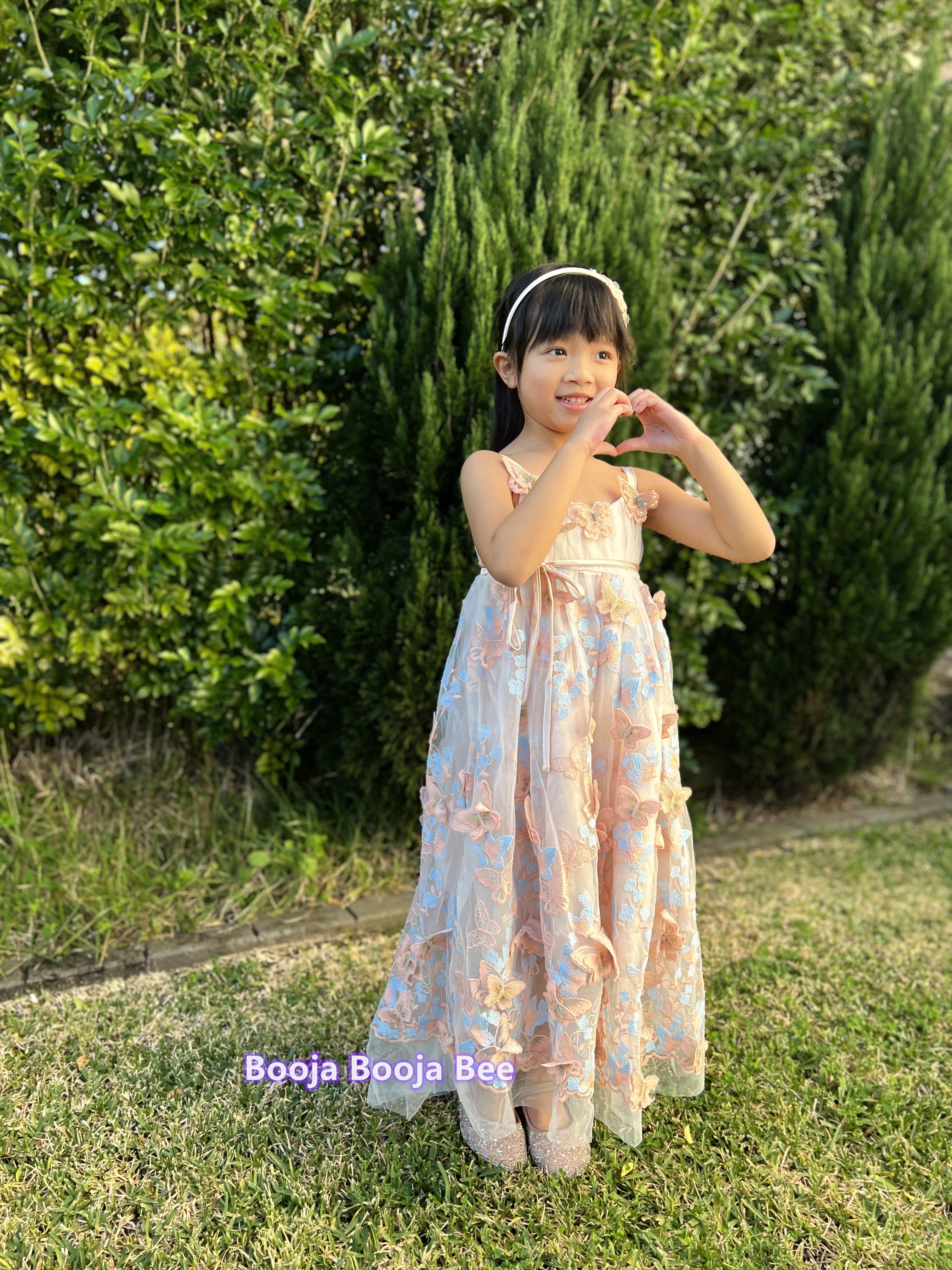 3D Butterflies light beige pink lace dress, A line embroidery girls gown dress