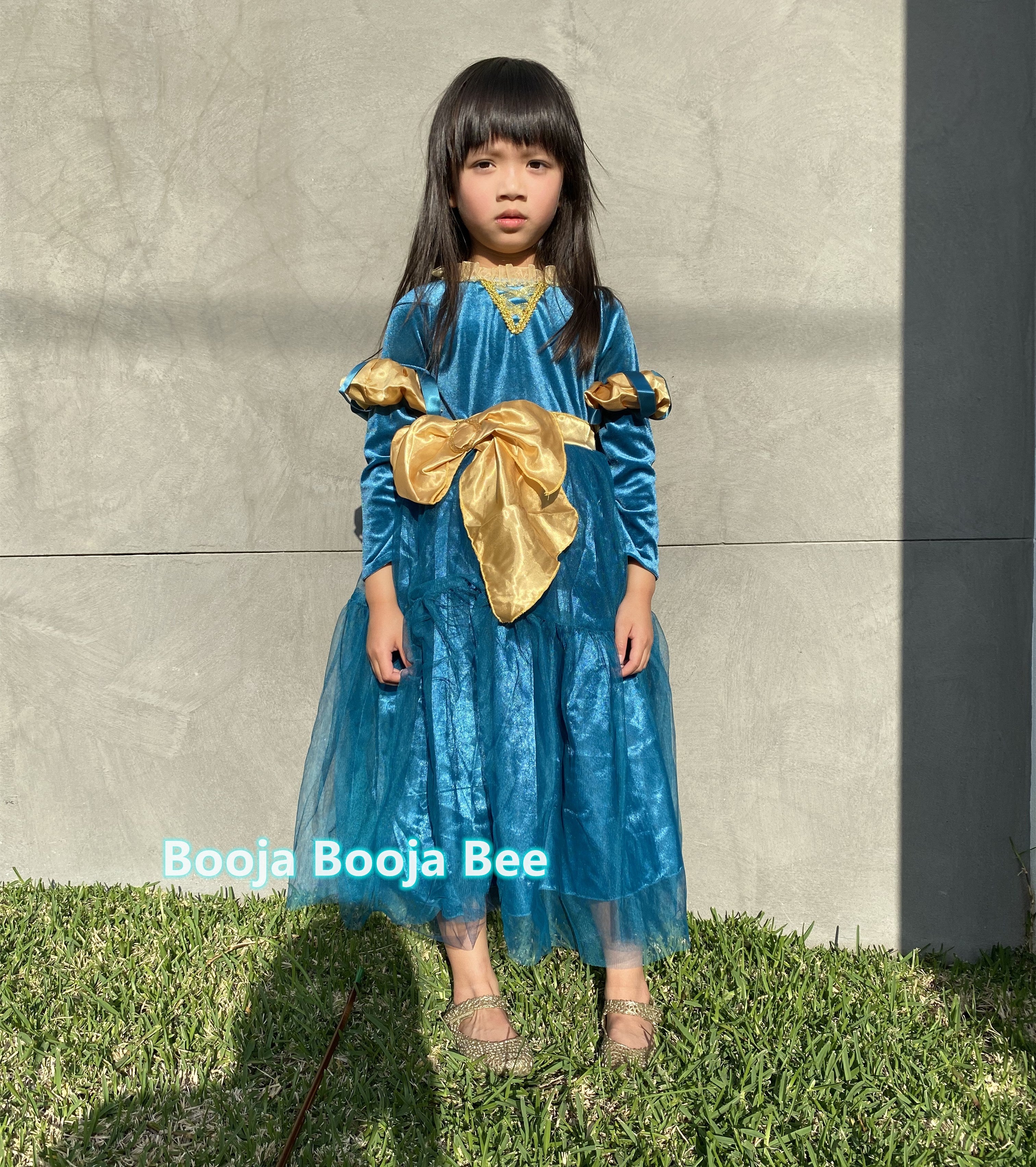 Brave Merida deluxe velvet costume, Princess party dark gold ribbon dress