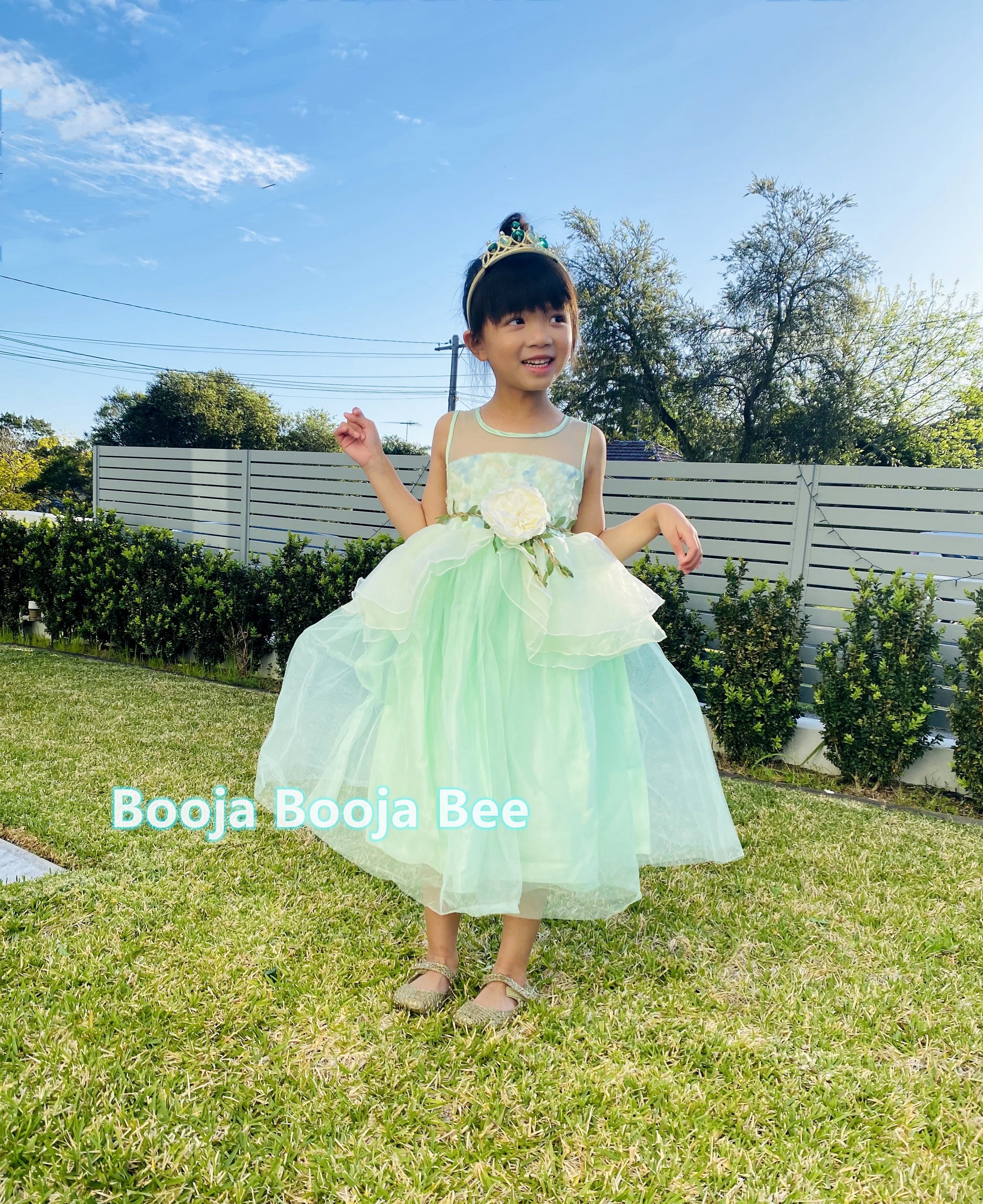Princess Tiana costume sleeveless costume dress, The Frog movie cosplay
