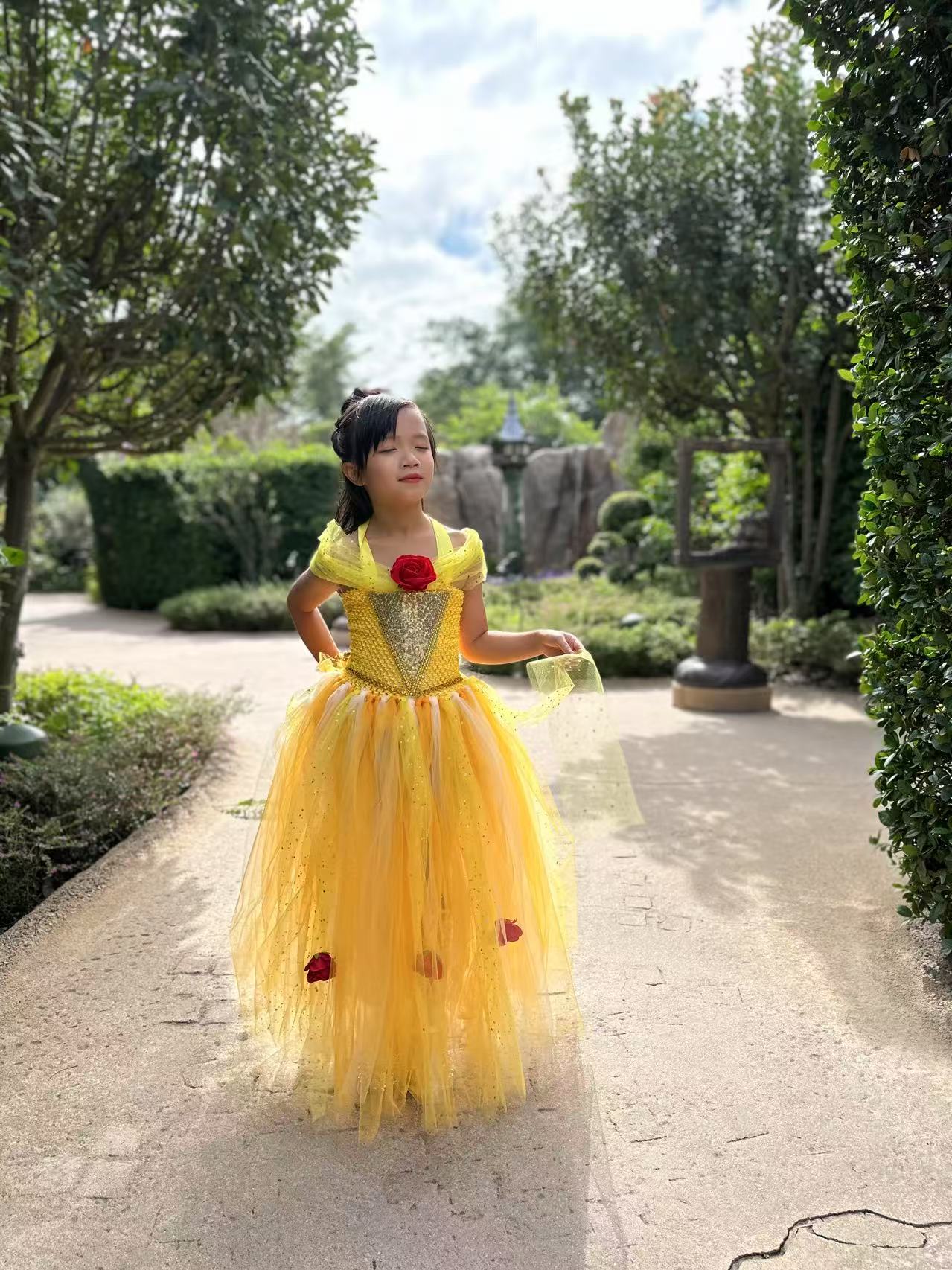 Beauty and the Beast Belle luxury princess party tutu dress