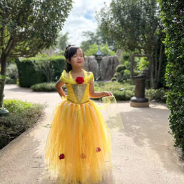 Beauty and the Beast Belle luxury princess party tutu dress