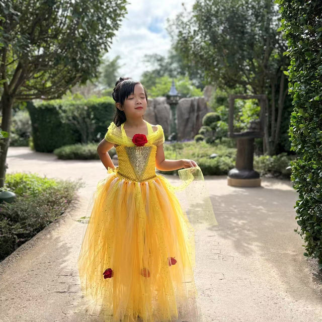 Beauty and the Beast Belle luxury princess party tutu dress