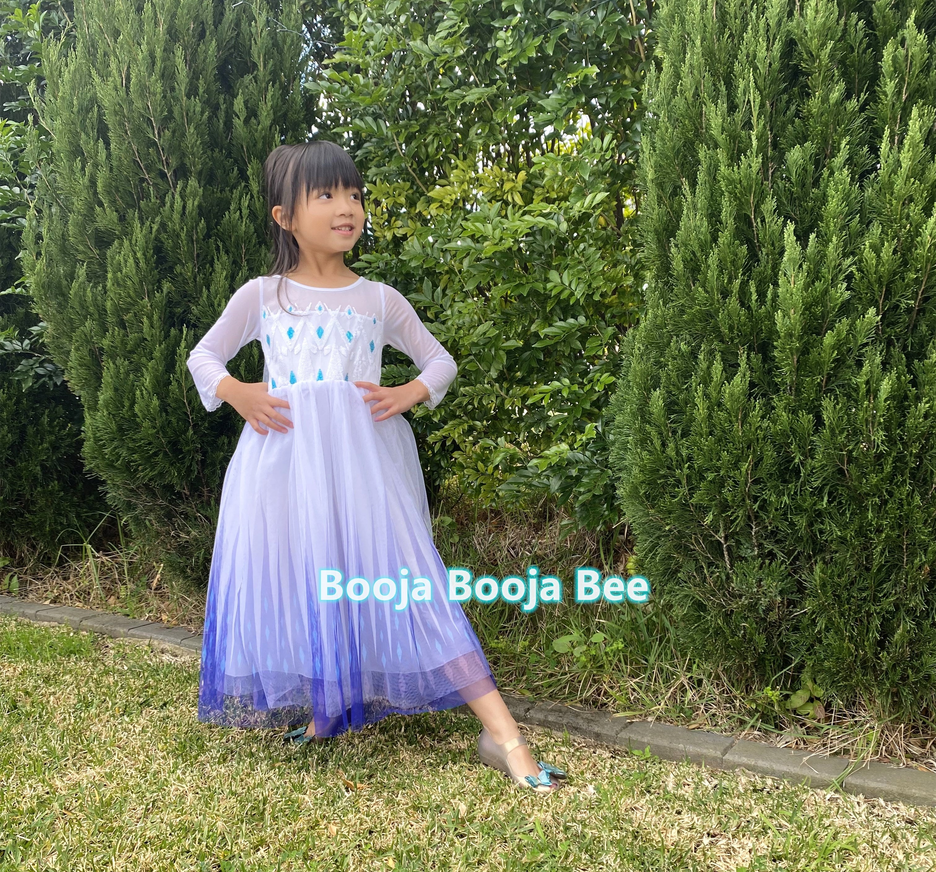 Disney themed party Elsa costumes for kids 3-8, Frozen 2 Elsa birthday princess dress