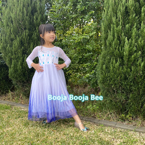Disney themed party Elsa costumes for kids 3-8, Frozen 2 Elsa birthday princess dress