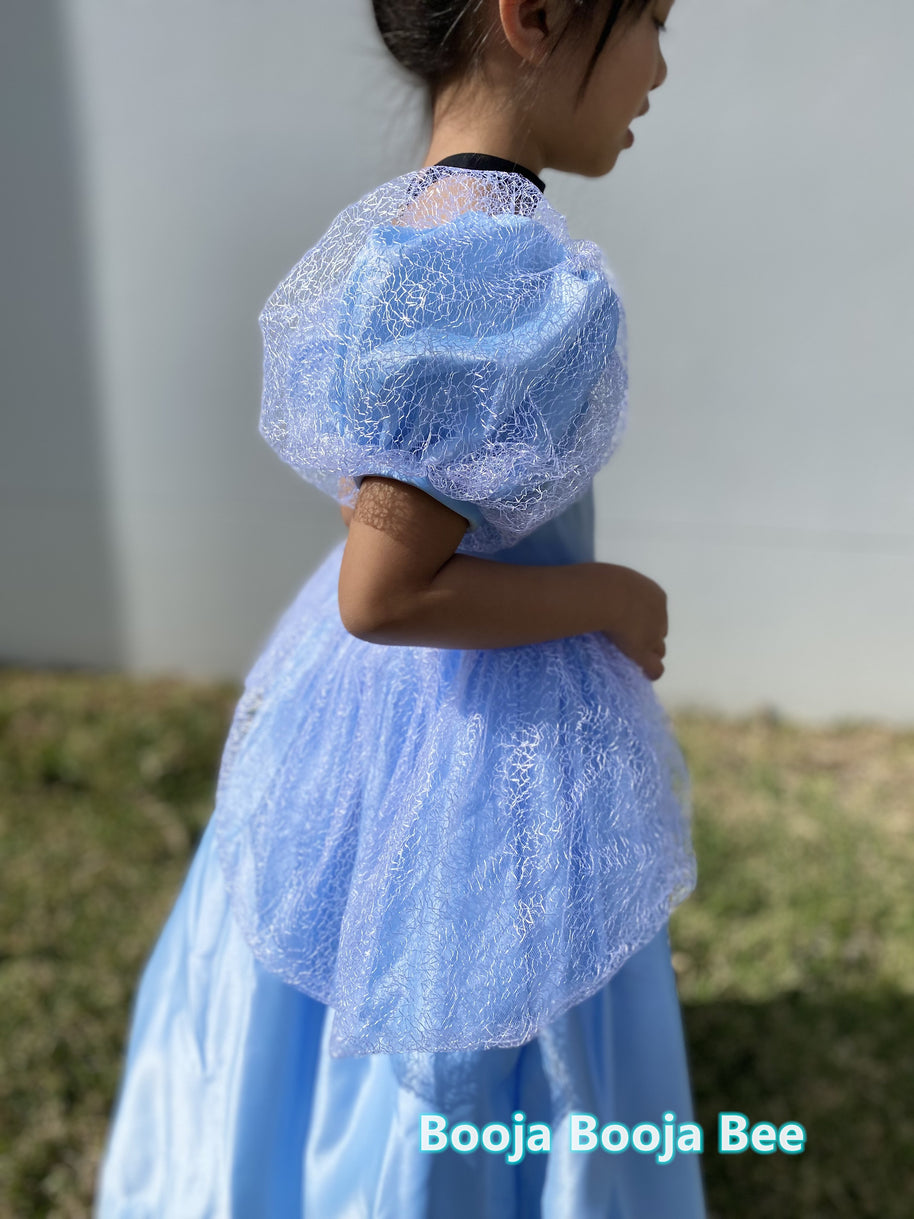 Cinderella puffy sleeves ball gown, Girls birthday gift party dress