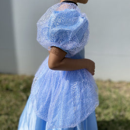 Cinderella puffy sleeves ball gown, Girls birthday gift party dress