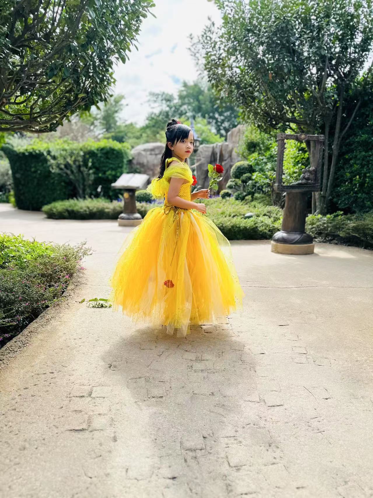 Beauty and the Beast Belle luxury princess party tutu dress