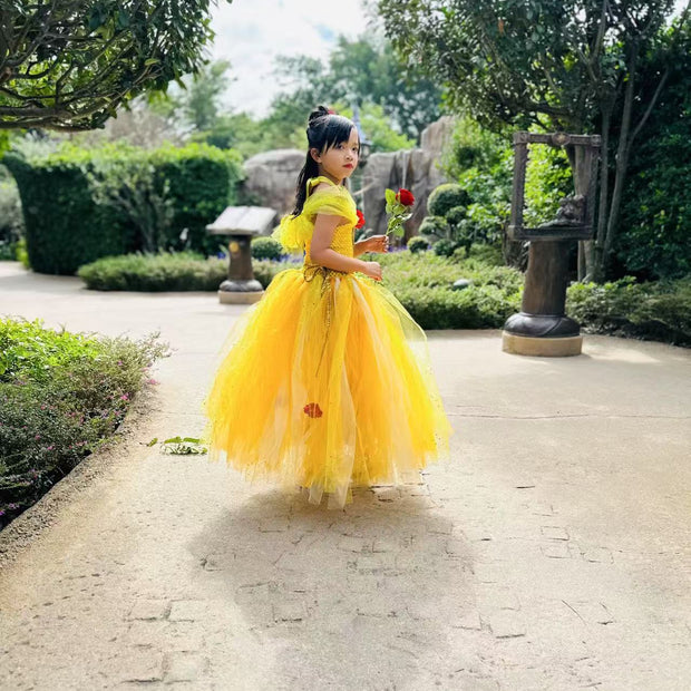 Beauty and the Beast Belle luxury princess party tutu dress
