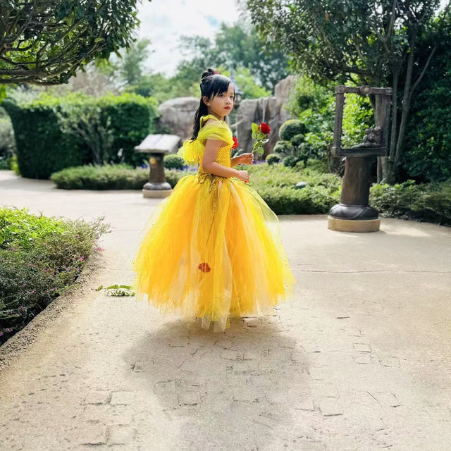 Beauty and the Beast Belle luxury princess party tutu dress