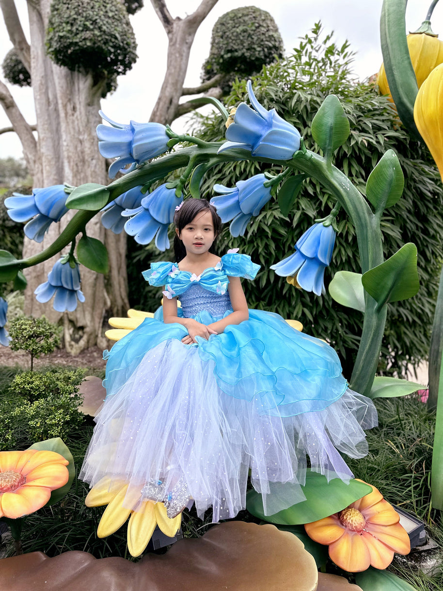 Cinderella butterfly blue tutu dress, Girls ball gown