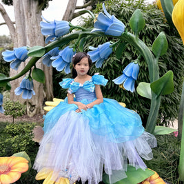 Cinderella butterfly blue tutu dress, Girls ball gown