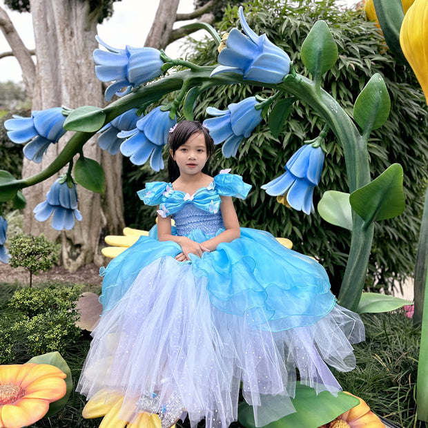 Cinderella butterfly blue tutu dress, Girls ball gown
