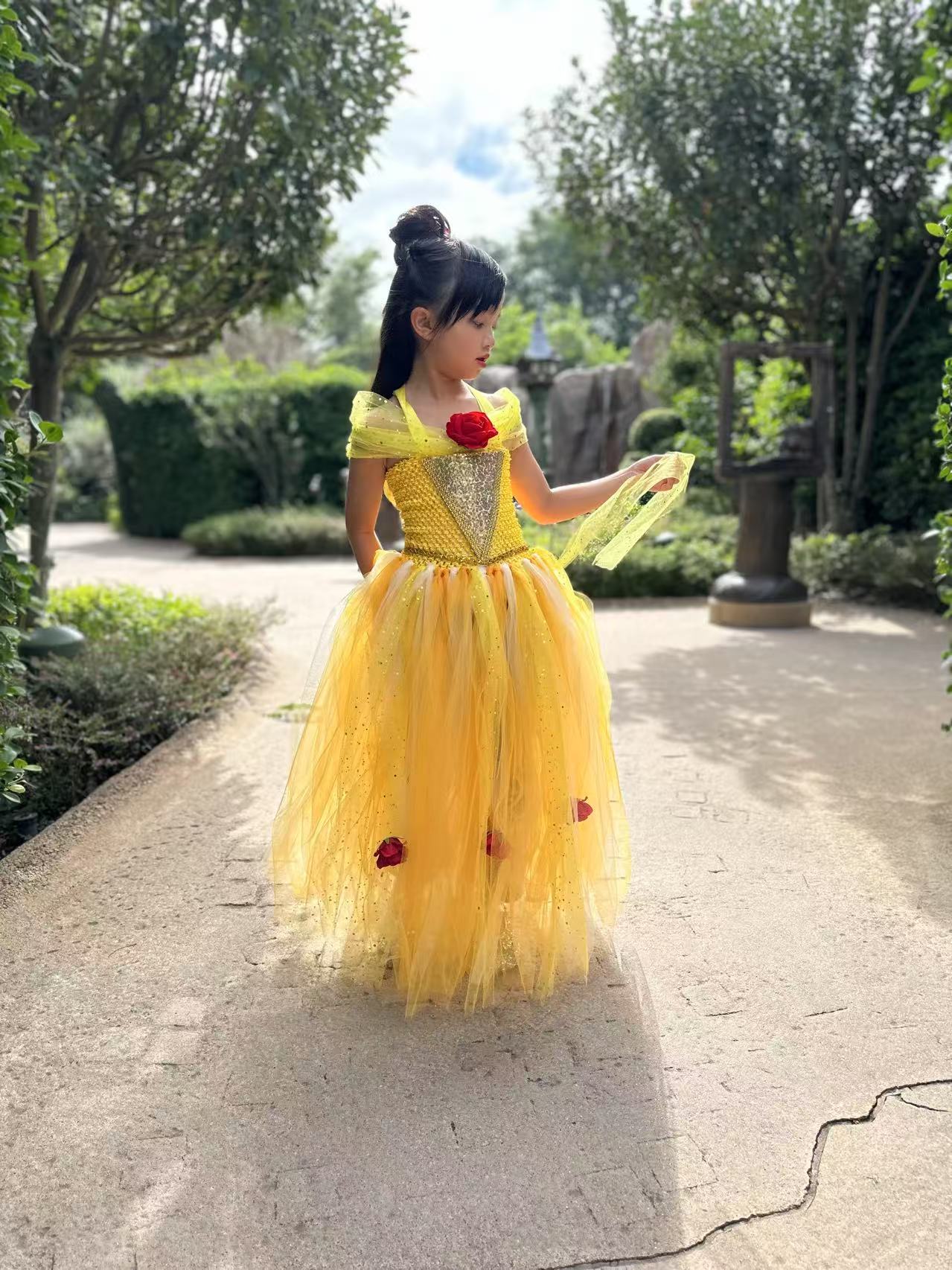 Beauty and the Beast Belle luxury princess party tutu dress