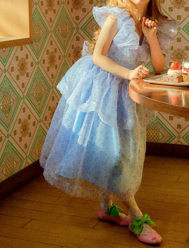 Floral blue ruffles sleeves girls birthday dress